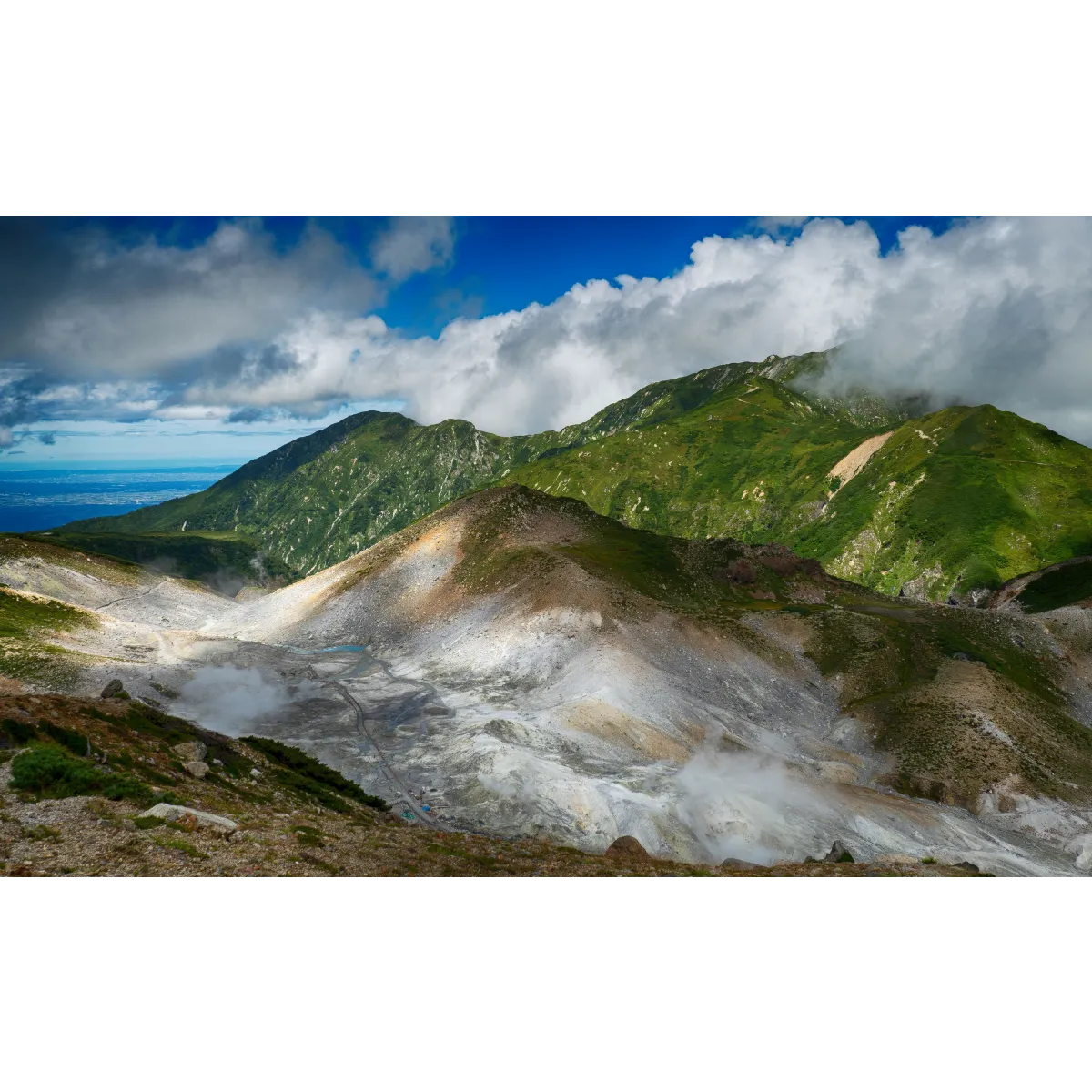 Seenina Dream